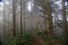 Cape Sebastian, South Oregon Coast