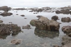 Rialto Beach, Pacific Coast, Olympic national Park