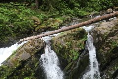 Sol Duc Falls, Olympic National Park, Washington State