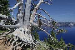 Crater Lake, National Park, Oregon