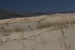 Mojave Desert National Monument