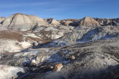 Painted Hills, Petrified Forest National Park