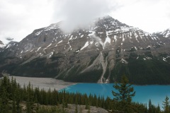 Peyto Lake, Banff National Park