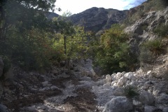 Guadelupe Mountains National Park