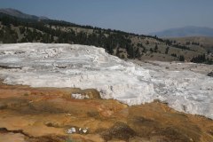 Mammoth Hot Springs and Terraces