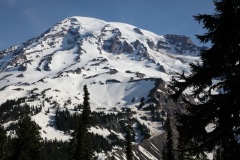 Mt Raineer National Park