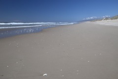 Oregon Dunes, Florence