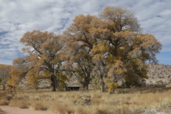 Pahranagat Wild Refuge, Nevada