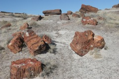 Petrified Forest National Park