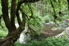 Silver Creek, Oregon