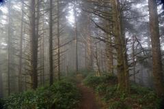 Southern Oregon Coast