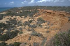 Torrey Pines State Park